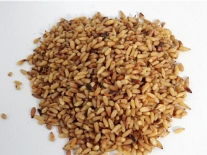 �����ʵĹ�Ч������ ���İ��� ��ͨ��