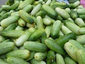 ɽ�ƹϵĹ�Ч������ ������� ��Ƣֹ��