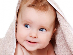 ��ù�ʪ����  ��֪���������ʪ����