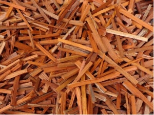 ��ľ�Ĺ�Ч������ ��Ѫ���� ����ֹʹ