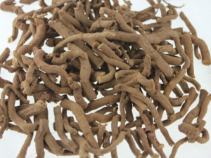 ��ľ��Ĺ�Ч������ ��ľ���ҩ������ ��ľ��ļ���