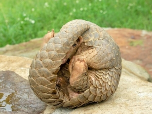 �����ð�䴩ɽ�� ��ɽ�׵ļ���Ӧ��