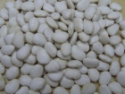 白扁豆的营养价值 白扁豆的食用方法