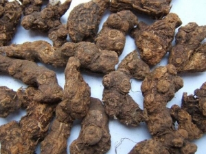 ���Դ����� ���Դ���Ч ���Դ���������