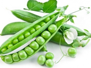 �߲˵��������� ���߲˵ĺô� ������ʳ����