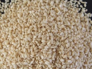 ��֥��Ĺ�Ч������ ��֥���ʳ�÷��� ��֥����������