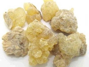 ����Ĺ�Ч������ ��Ѫ���� ͨ��ֹʹ ��������