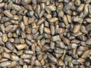 �����ӵ�ʳ�÷���  �����ӵĹ�Ч����