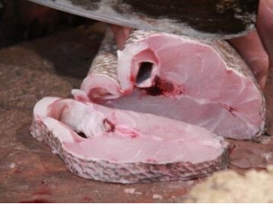 �����Ӫ����ֵ �����ʳ�÷��� �����ҩ���鷽