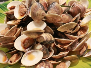 ���۵�Ӫ����ֵ ���۵�ʳ�÷���