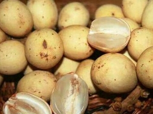 ��������Ӫ����ֵ �������Ĺ�Ч������