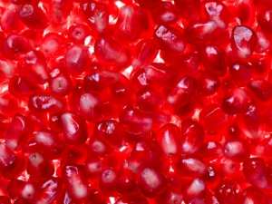 �ļ���ο����� ���������ǿ�˥��