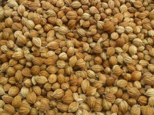 θ¼崦 θ¼幦Ч θ¼