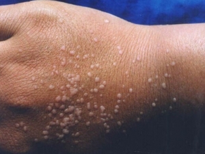 ��ƽ���ԭ�� ��ƽ�����Ԥ�� ��ƽ���ʲô��