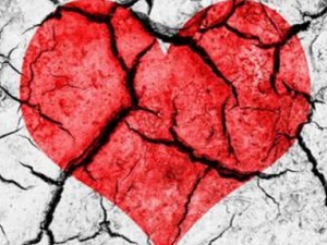 ��������������ר�ҽ����С������ۺ�����