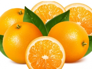 ���ӵ�Ӫ����ֵ ���ӵĹ�Ч���� ���ӵ�ʳ�÷���