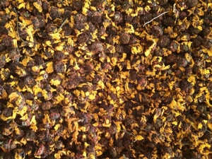 �˽�ɢ���� �˽�ɢ��Ч �˽�ɢ��������