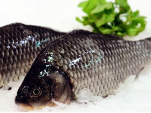 �＾����ĺô��� ��Щ�㲻�ܳ�