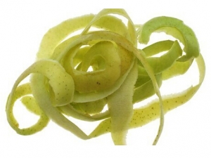 ��Ƥ�Ĺ�Ч������ ����Թ�Ƥ��ʳ�ý���