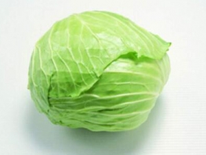 �׿����ߵ���ʳ����