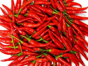 �＾��ʳ���� ��Ҫ�������