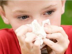 �����Ѫ��ԭ�� ��������ô��