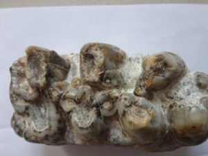 ���ݵĹ�Ч������ ���ݵļ��𷽷�