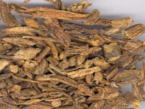 ������������� �����������Ч �����������������