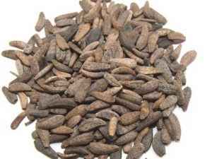 ţ���ӵĹ�Ч������ ţ���ӵĸ��� ţ���ӵļ���