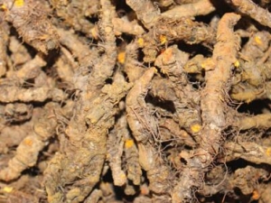 С���������� С��������Ч С��������������