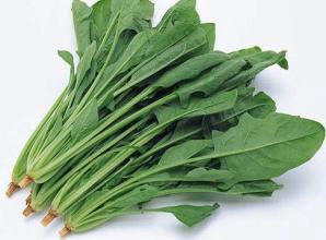 ȱ����ƶѪ ��ʲôʳ���ܲ�����