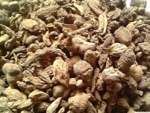 ���ٵĹ�Ч������ ��绯ʪ ������