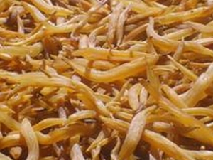 �춬�Ĺ�Ч������ �춬�ļ��𷽷� �춬��ʳ�÷���