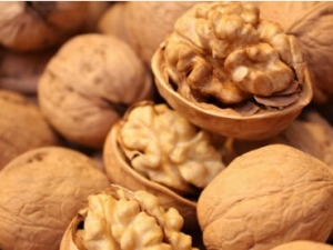 θ������������ҿ�