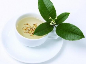 �����ô�� ����ֹ�������̻����ݲ�