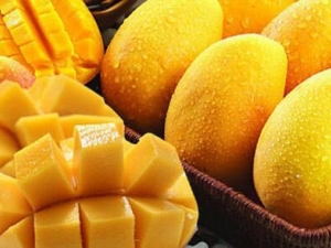 �����ݻ������õ�ʳ�� ����������޶���