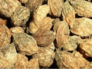 ����������ֹС������