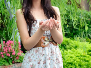 �������� ��ҽ���ڷ����㼡���⻬ϸ��