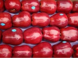 ���߹���Ӫ����ֵ ���߹���ʳ�÷���