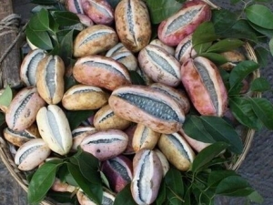 ���¹ϵ�Ӫ����ֵ ���¹ϵ�ʳ�÷���