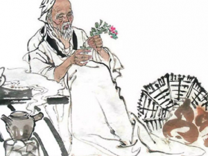 �ν������ô�γɵ� ��ҽ������Ʒν��