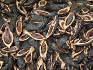 ���Ӵ�ҩ���� ���Ӵ�ҩ��Ч ���Ӵ�ҩ��������