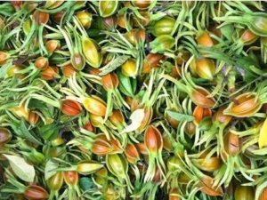 ���������� ��������Ч ��������������