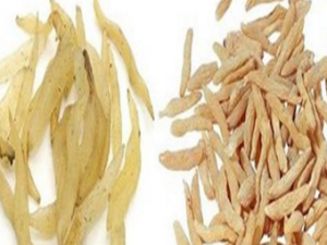 ����÷����