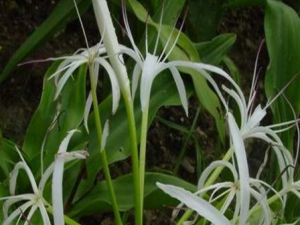 ��ȹ����