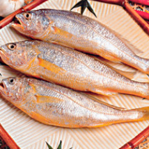 �����㰮���� ���������