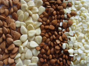 �������ٵ�ʳ���Ƽ�