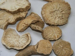 �����Ĺ�Ч�����ü�����