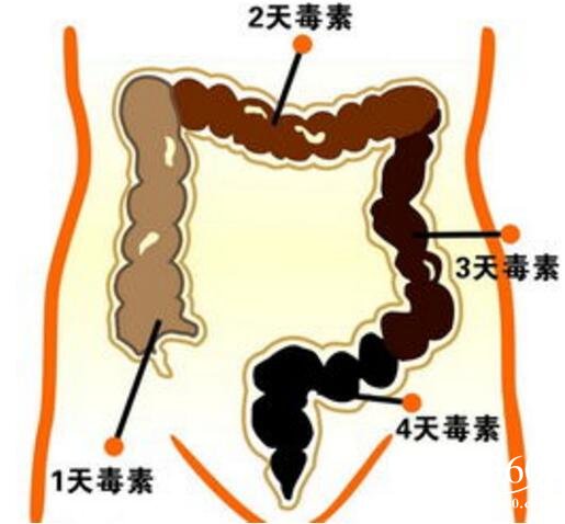 如何排毒 走出排毒误区