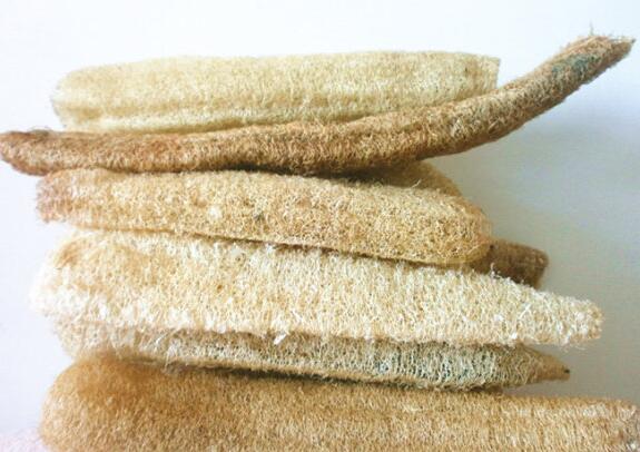 丝瓜络的功效与作用及禁忌